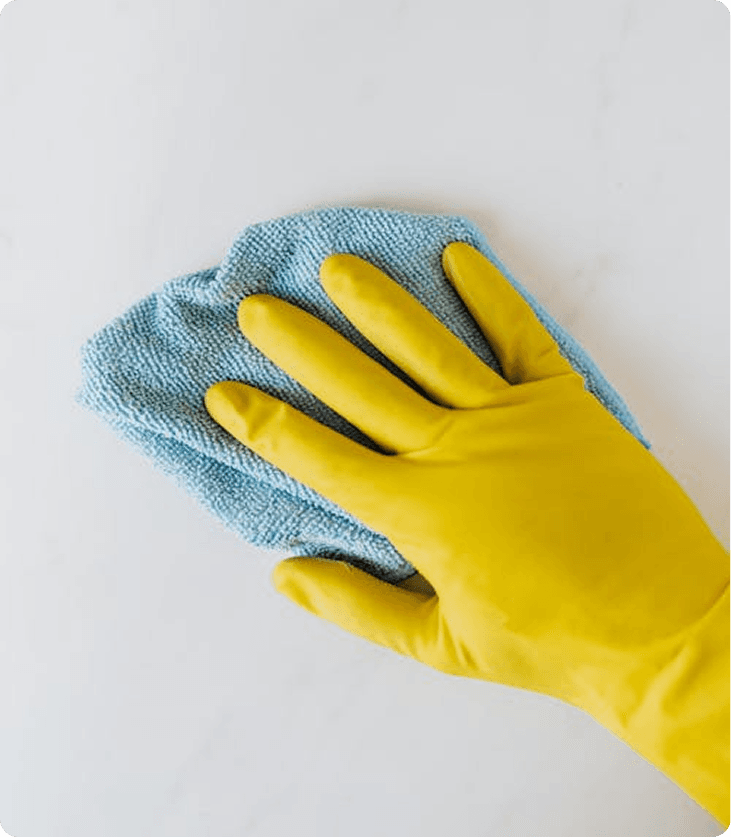 Professional cleaner with cleaning supplies