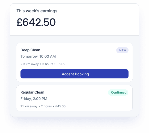 Professional cleaner hero preview